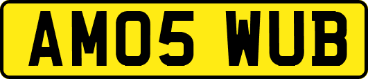 AM05WUB