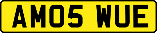AM05WUE