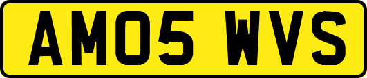 AM05WVS