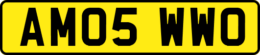 AM05WWO