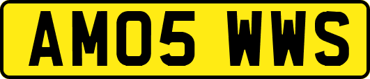 AM05WWS