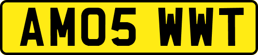 AM05WWT