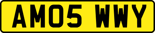 AM05WWY