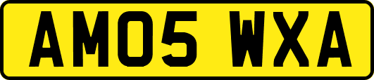 AM05WXA