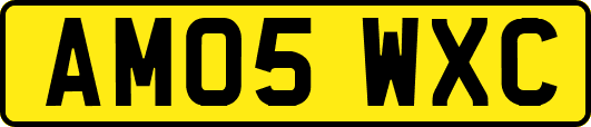 AM05WXC