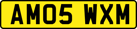 AM05WXM