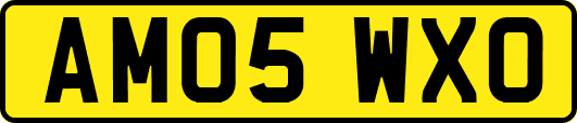 AM05WXO