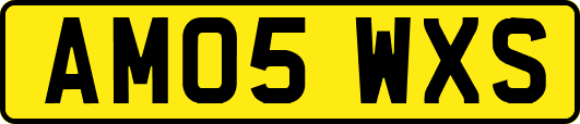 AM05WXS