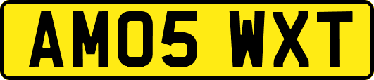 AM05WXT