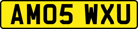 AM05WXU