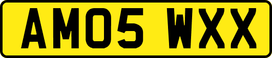 AM05WXX