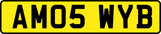 AM05WYB