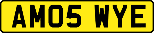 AM05WYE