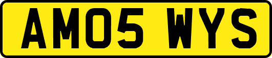 AM05WYS