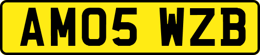 AM05WZB