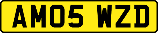 AM05WZD