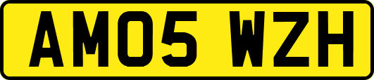 AM05WZH