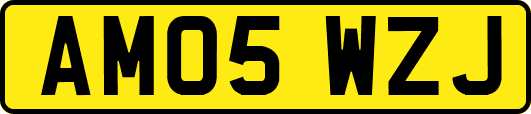 AM05WZJ