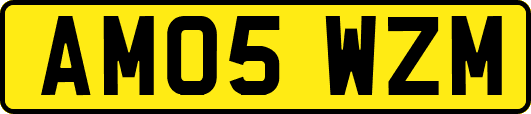 AM05WZM