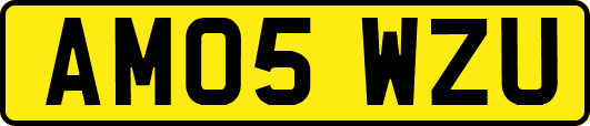 AM05WZU