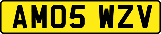 AM05WZV