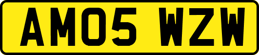 AM05WZW