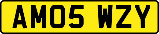 AM05WZY