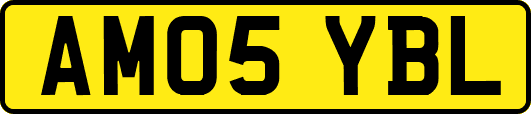 AM05YBL