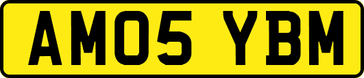 AM05YBM