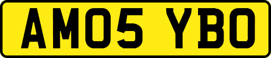 AM05YBO
