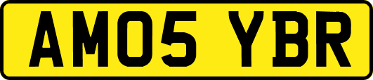 AM05YBR
