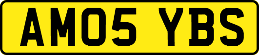 AM05YBS