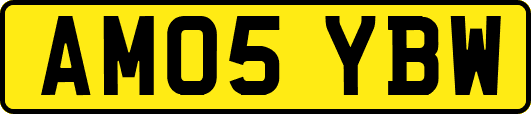 AM05YBW