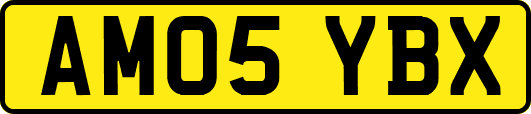 AM05YBX