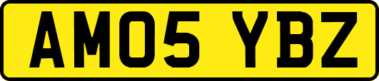 AM05YBZ