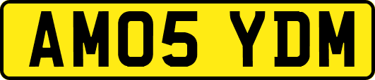 AM05YDM