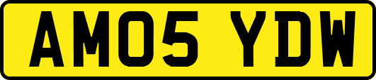 AM05YDW