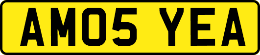 AM05YEA