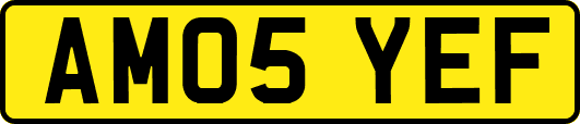 AM05YEF