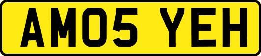 AM05YEH