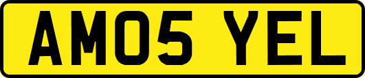 AM05YEL