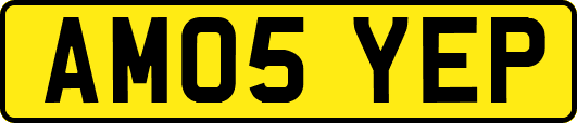 AM05YEP