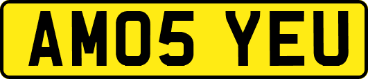 AM05YEU