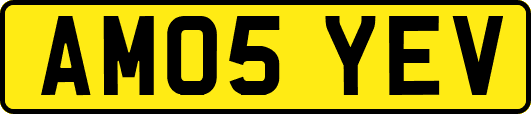 AM05YEV