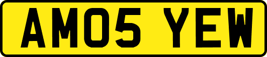 AM05YEW