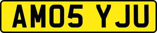 AM05YJU