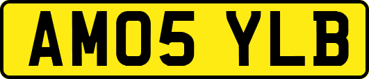AM05YLB