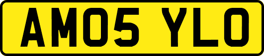 AM05YLO