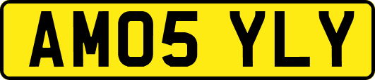 AM05YLY