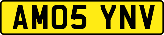 AM05YNV